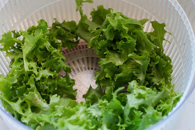 Las 7 Mejores Centrifugadoras de Ensalada