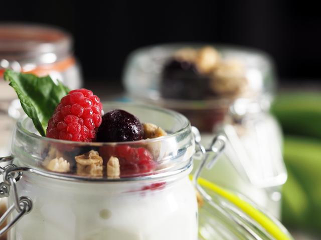 Las 12 Mejores Yogurteras