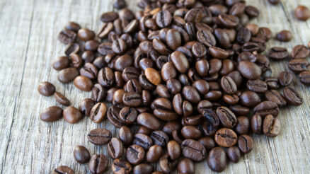 Las diferencias entre el café arábica y el café robusta: ¿Son lo mismo?